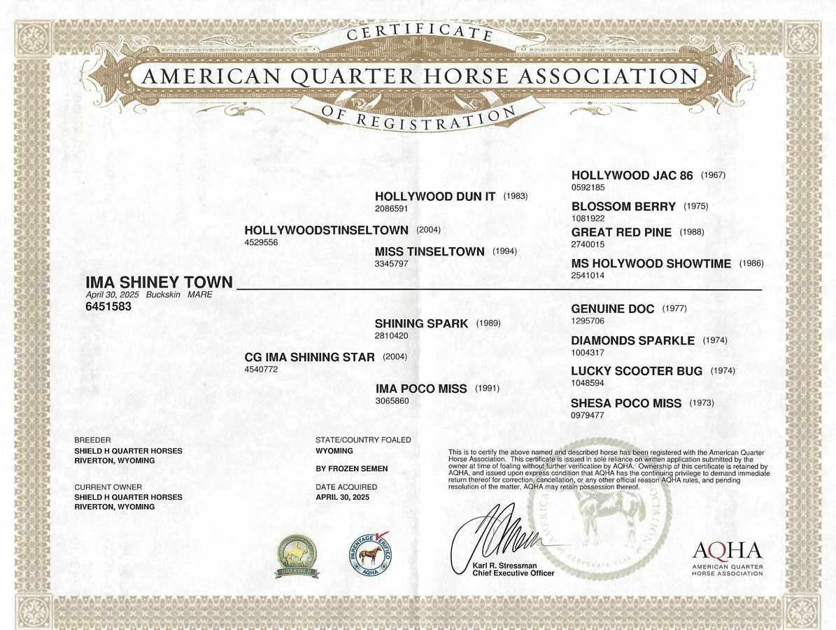American Quarter Horse Association certificate with horse details and signatures on a white document