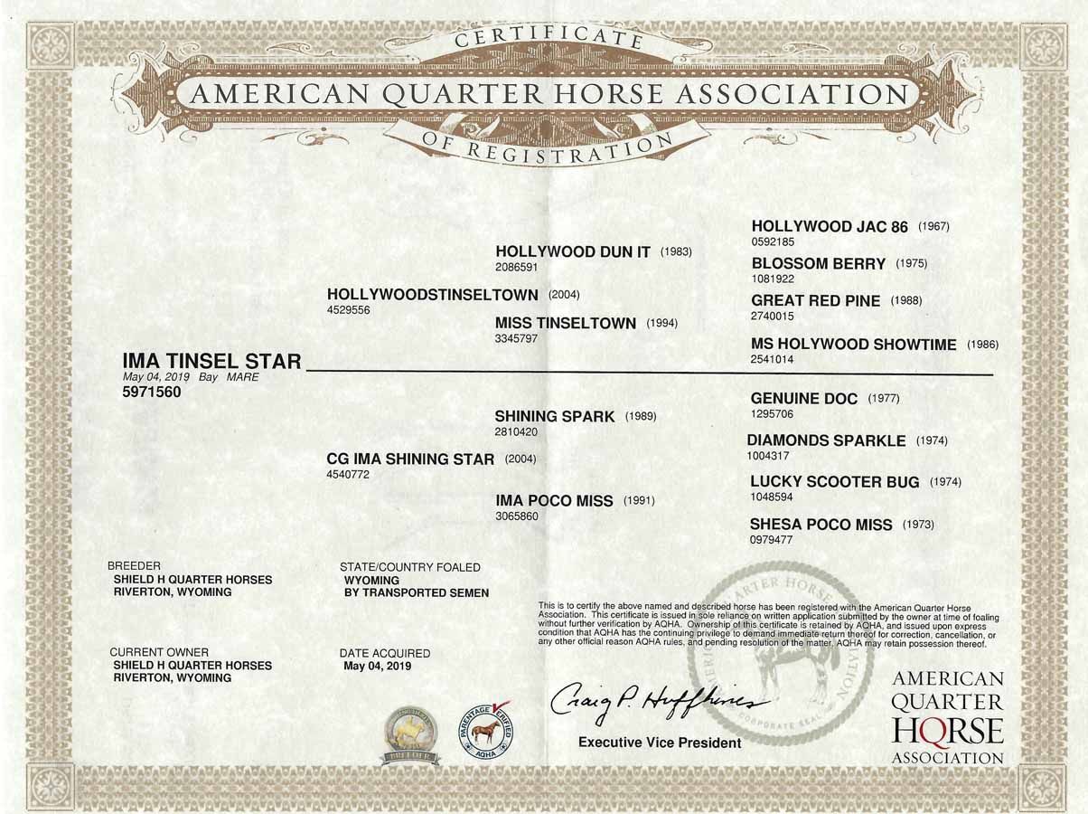 American Quarter Horse Association certificate on cream paper with AQHA logo and official stamps