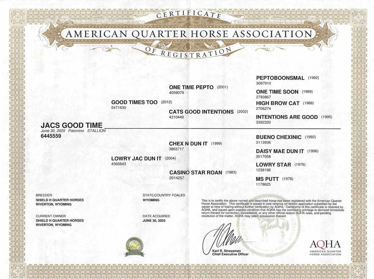 American Chartered Health Association certificate with official seal and signatures on a white background