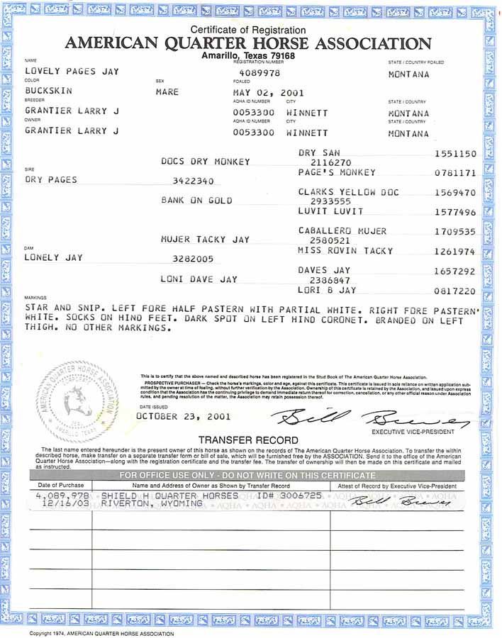 Blue-bordered American Quarter Horse Association certificate with text and signatures.