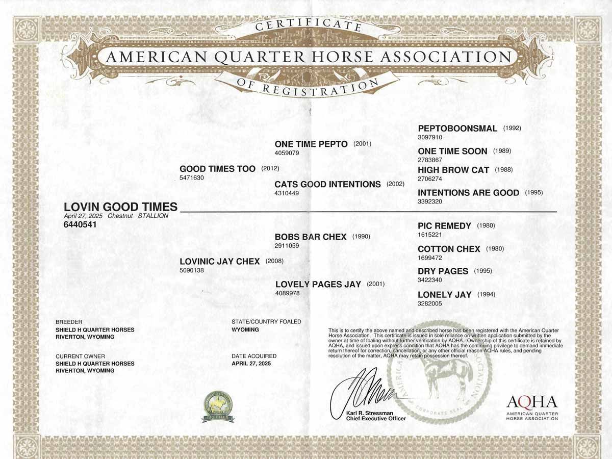 American Quarter Horse Association certificate on cream paper with black text and seals