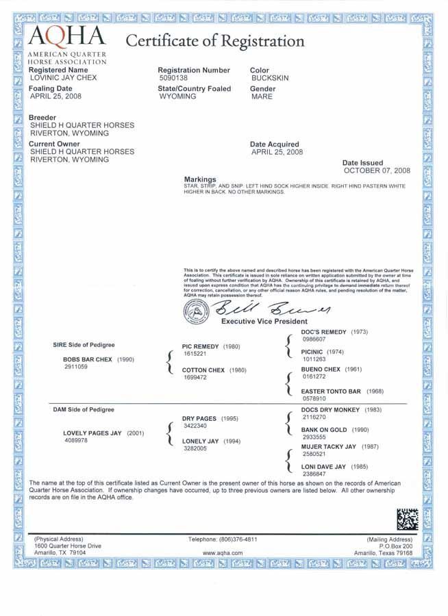 AQHA Certificate of Registration document with blue border and printed horse registration details