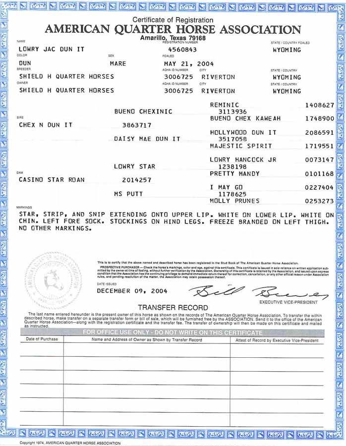 American Quarter Horse Association certificate with blue border and printed registration details