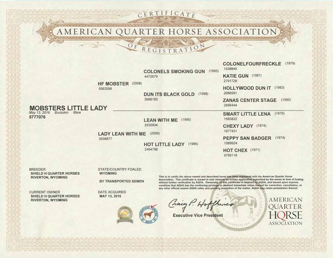 American Quarter Horse Association certificate on cream paper with black text and official seals
