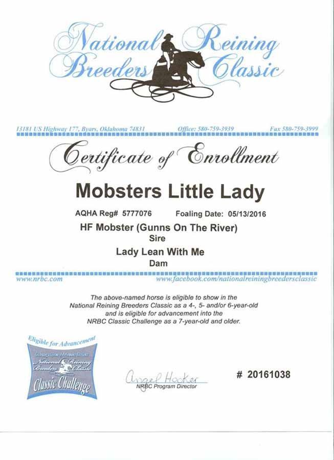 Certificate of Enrollment for “Mobsters Little Lady” from the National Reining Breeders Classic