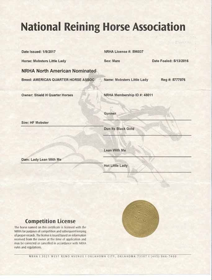 National Reining Horse Association competition license certificate with seal and horse watermark