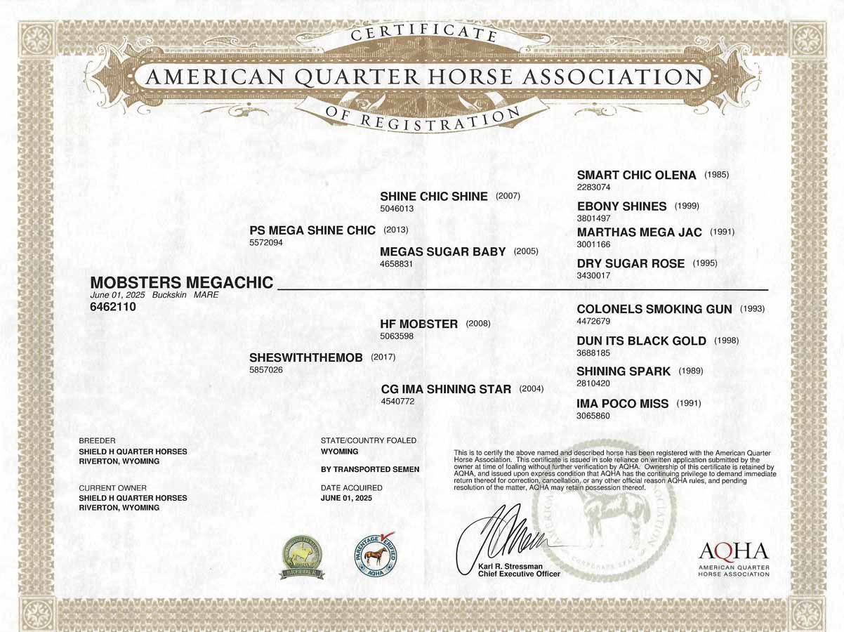 American Quarter Horse Association certificate with seal and signatures on white parchment paper