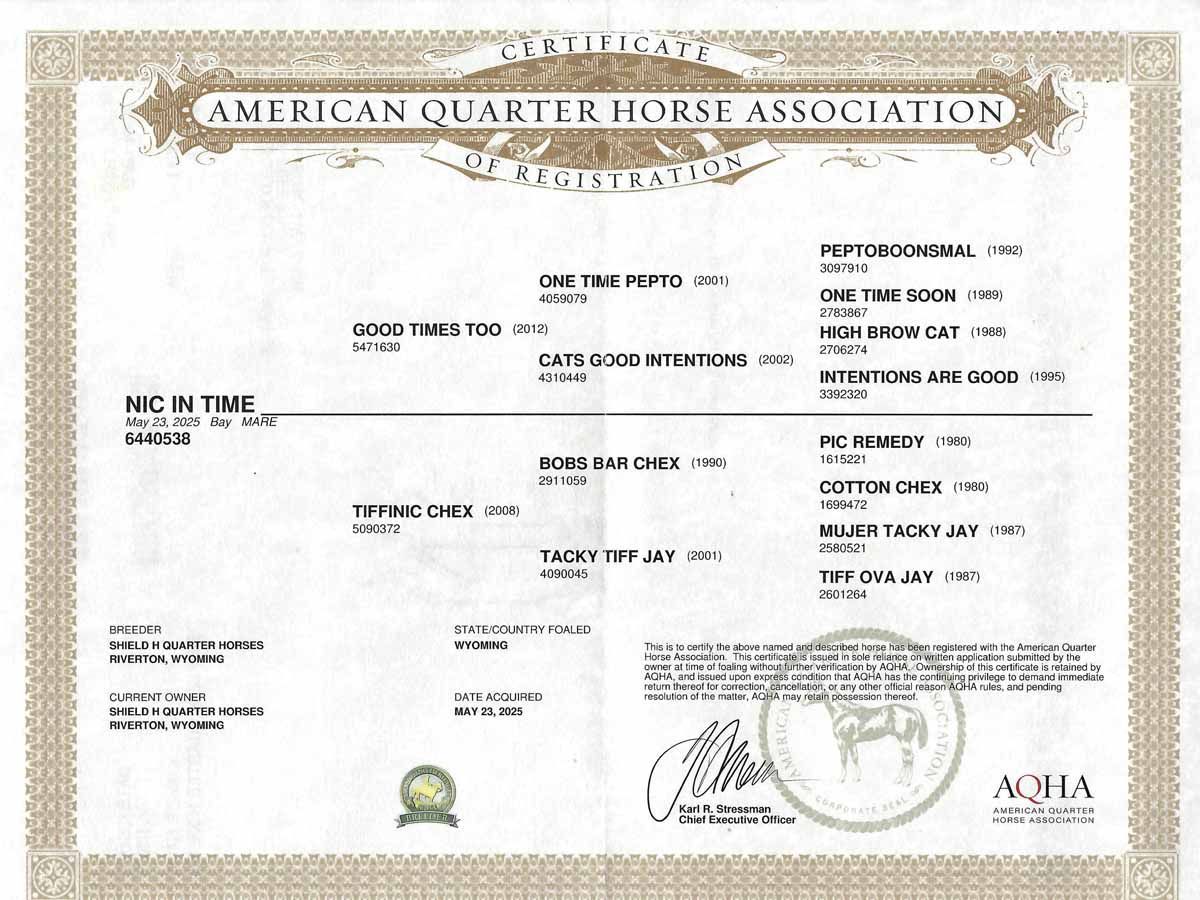 American Quarter Horse Association registration certificate on white paper with logo and signatures