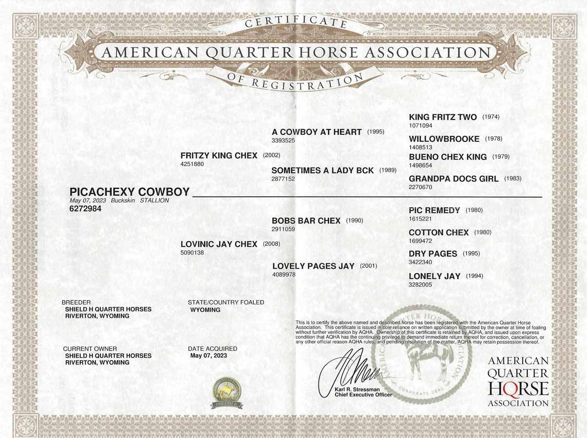 American Quarter Horse Association certificate with printed text and official seal on a white background
