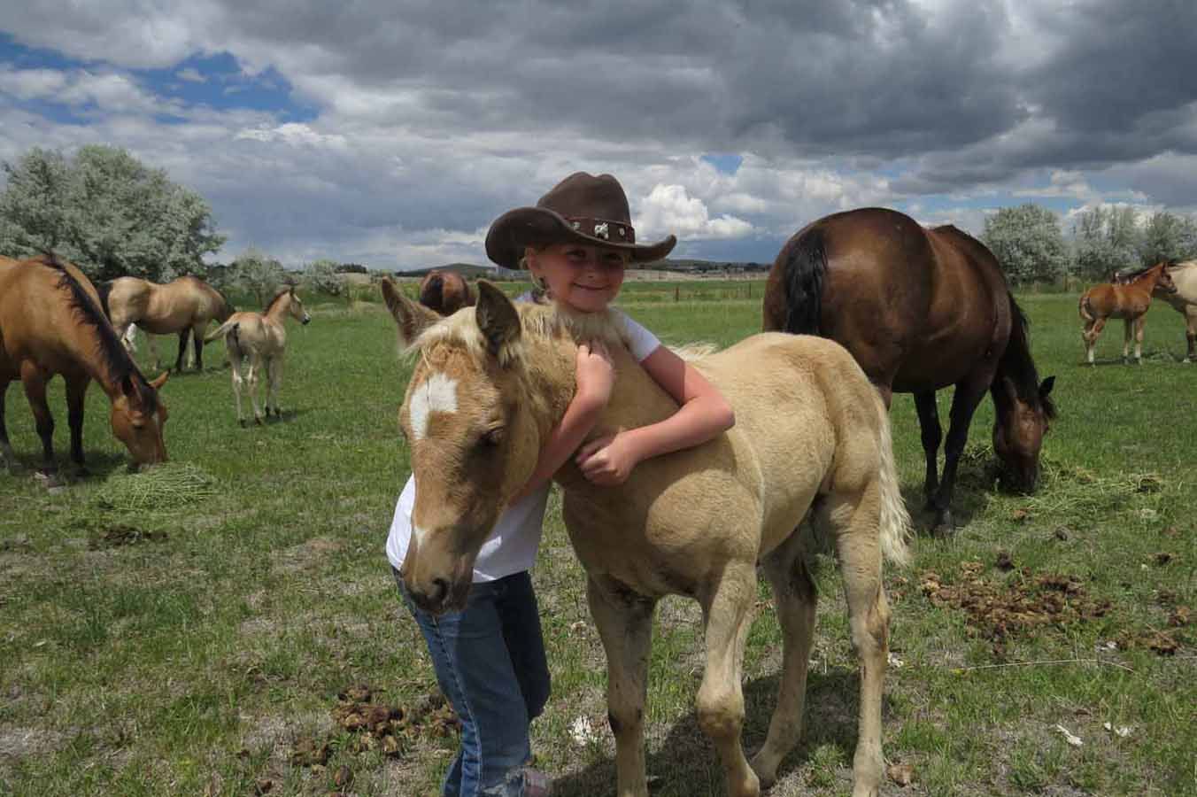 Child in cowboy hat hugging a palomino foal in a grassy field with horses under cloudy sky