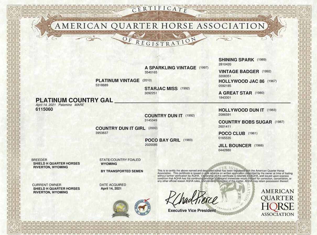American Quarter Horse Association certificate for a platinum court gelding, with seals and signatures