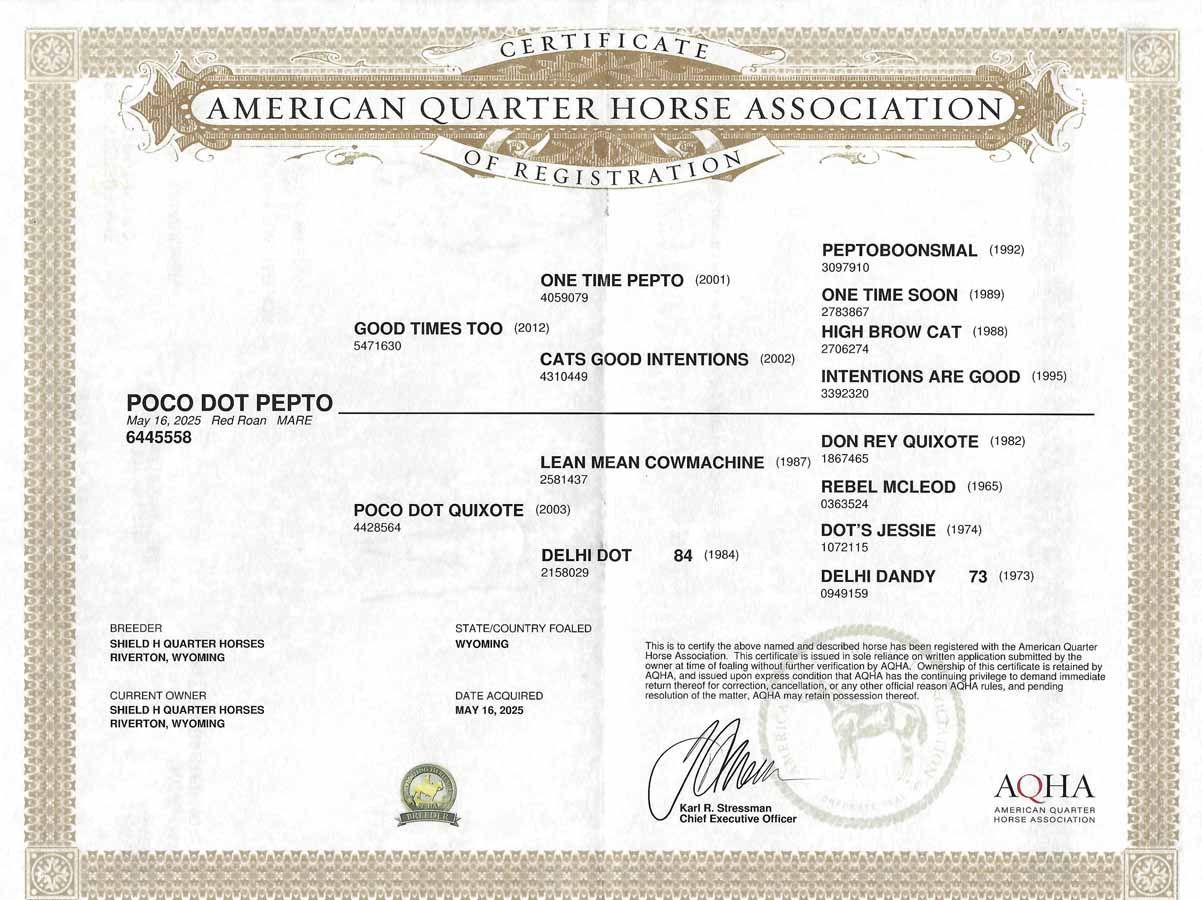 American Quarter Horse Association certificate with horse photo and official signatures