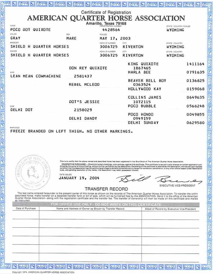 American Quarter Horse Association registration certificate with printed horse details and signatures on white paper