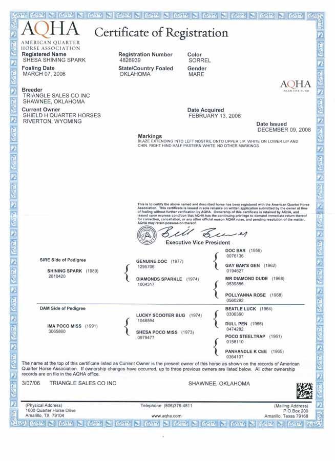 AQHA Certificate of Registration document with blue border and official seals