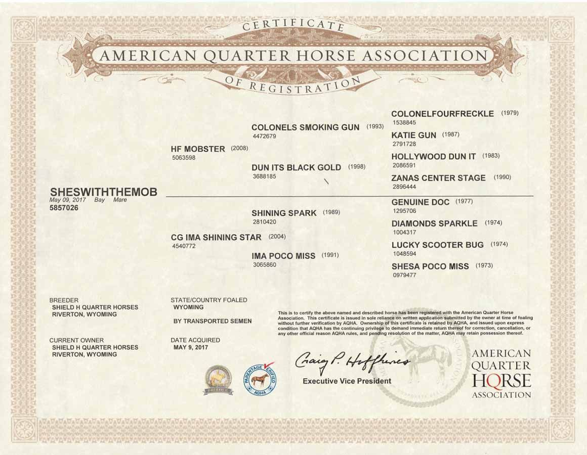 American Quarter Horse Association certificate with printed horse registry details and gold border