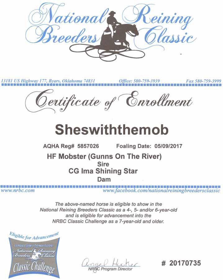 Certificate of Enrollment for horse “Sheswiththemob” at National Reining Breeders Classic