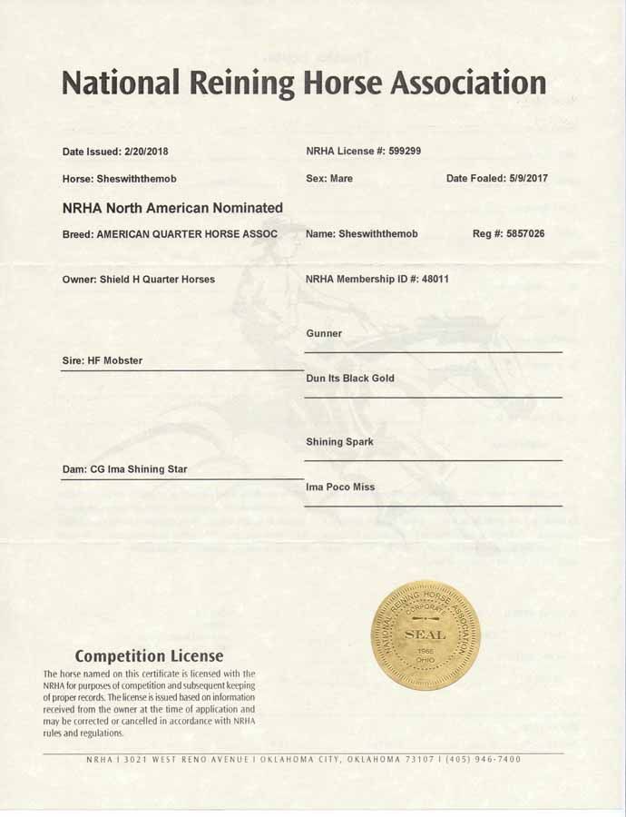 National Reining Horse Association competition license certificate with gold seal and typed details on white paper