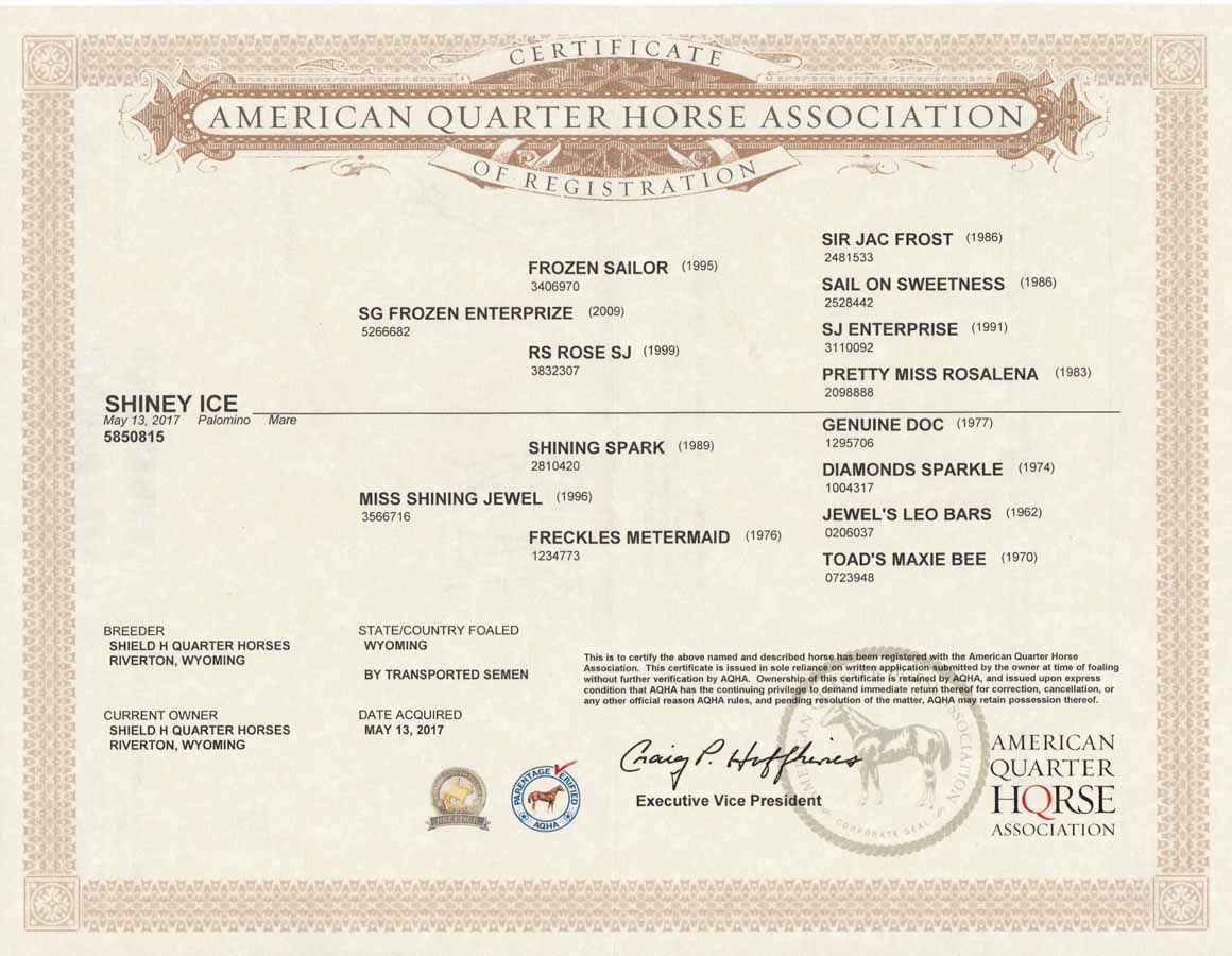 American Quarter Horse Association certificate on beige paper with official seals and signatures