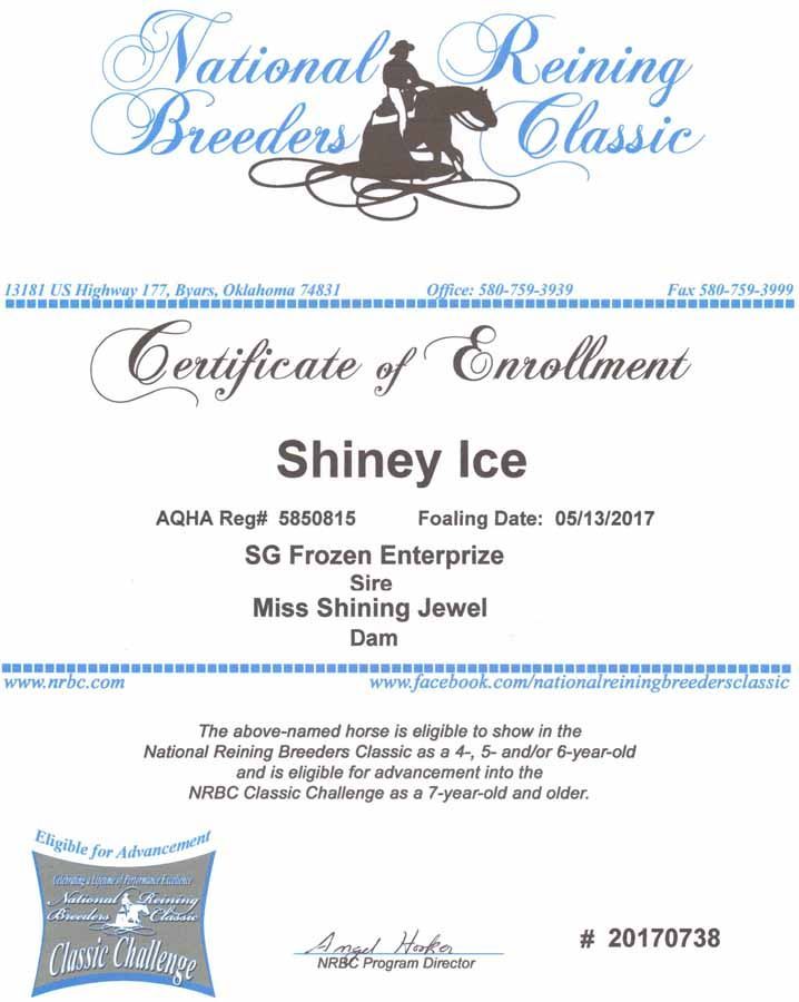 National Reining Breeders Classic certificate of enrollment for Shiney Ice with blue decorative border
