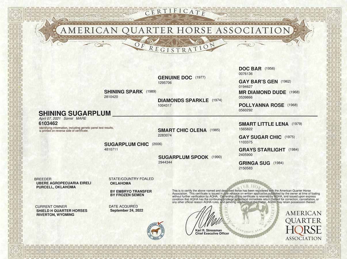 American Quarter Horse Association certificate with printed text, seals, and signatures on cream paper