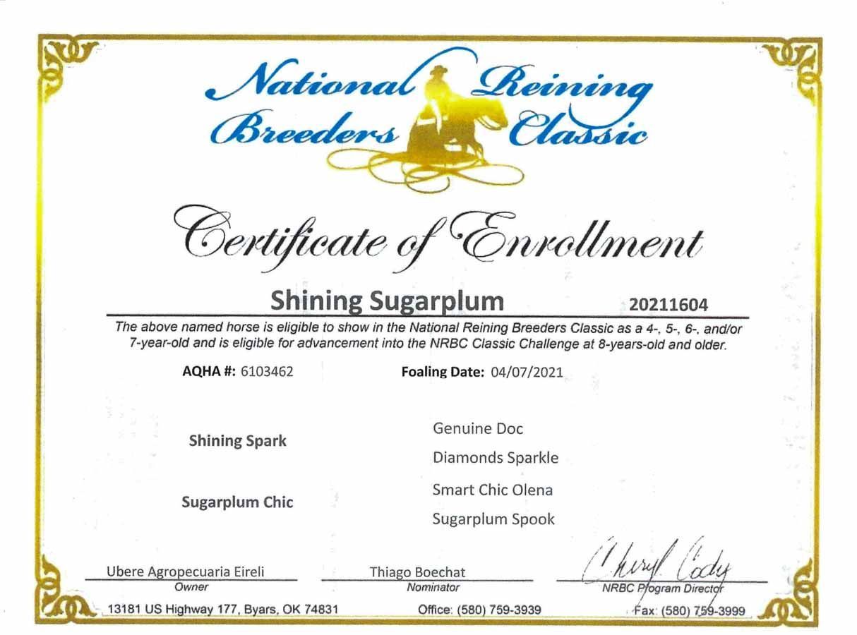 Certificate of Enrollment for Shining Sugarplum, with gold border and National Reining Breeders Classic logo