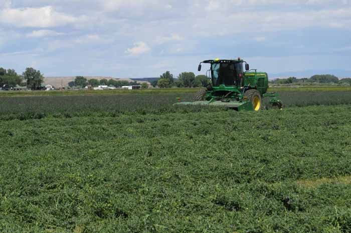 ship-alfalfa-hay-nationwide