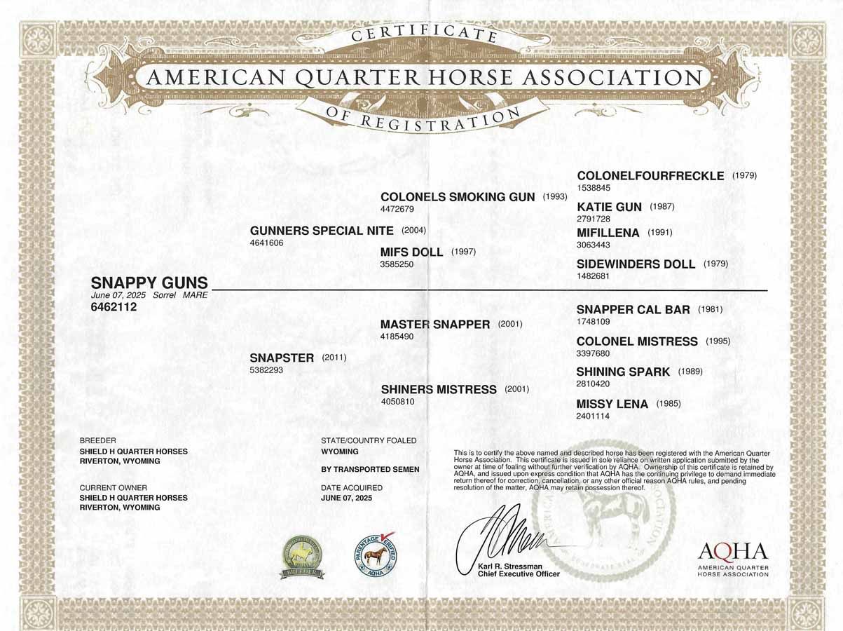 American Quarter Horse Association certificate with horse details and official seals