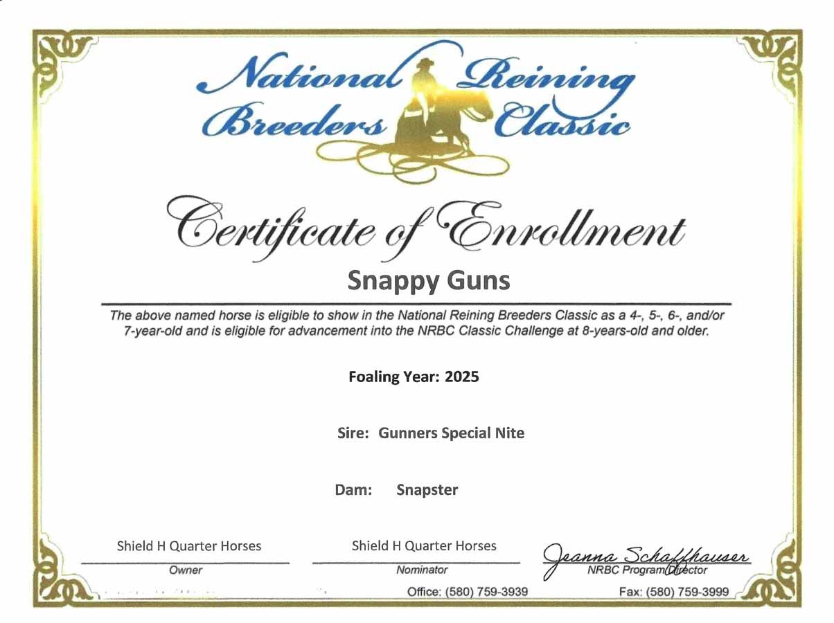 Certificate of enrollment for “Snappy Guns” from National Reining Breeders Classic, with gold decorative border