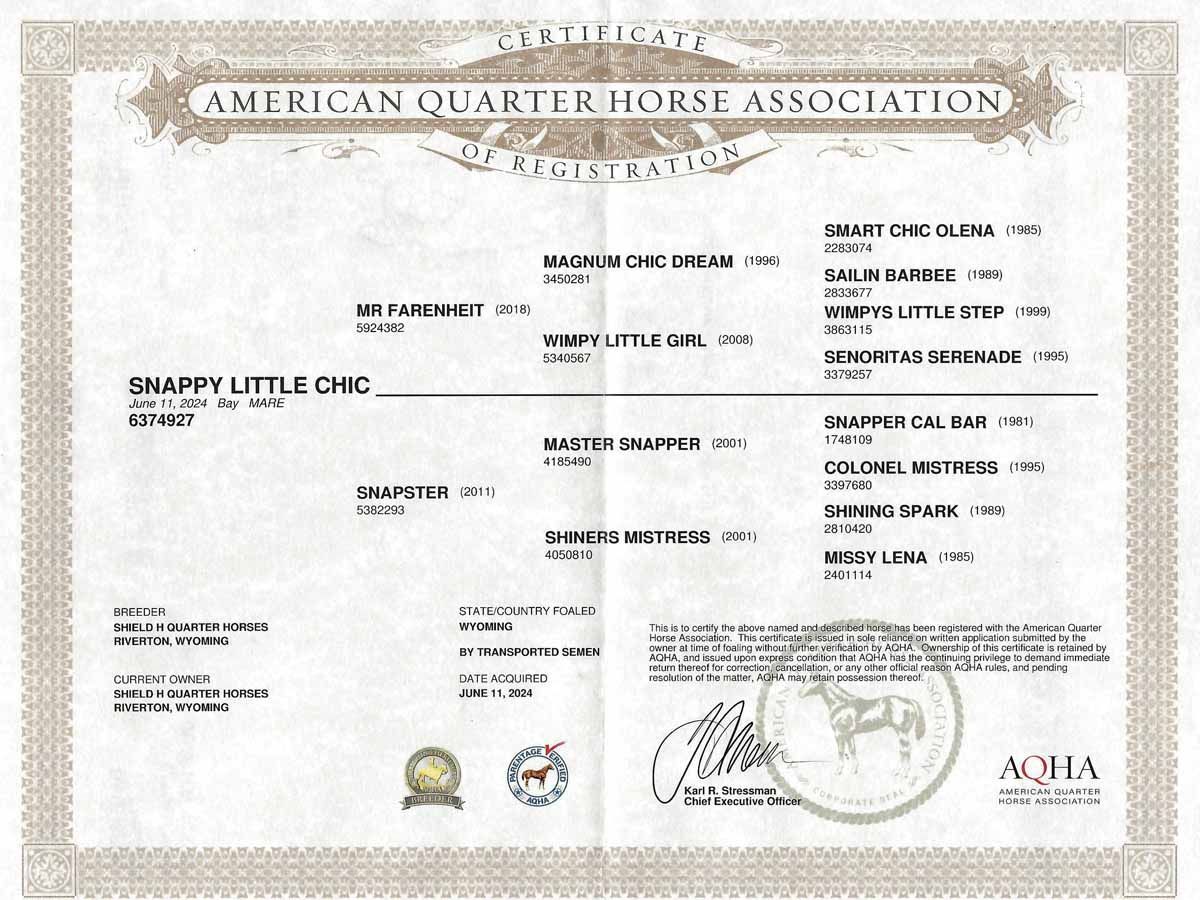 American Quarter Horse Association certificate with printed details and official seal