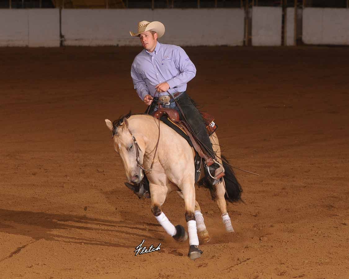 Rider on a light horse turning in an indoor arena under warm lighting