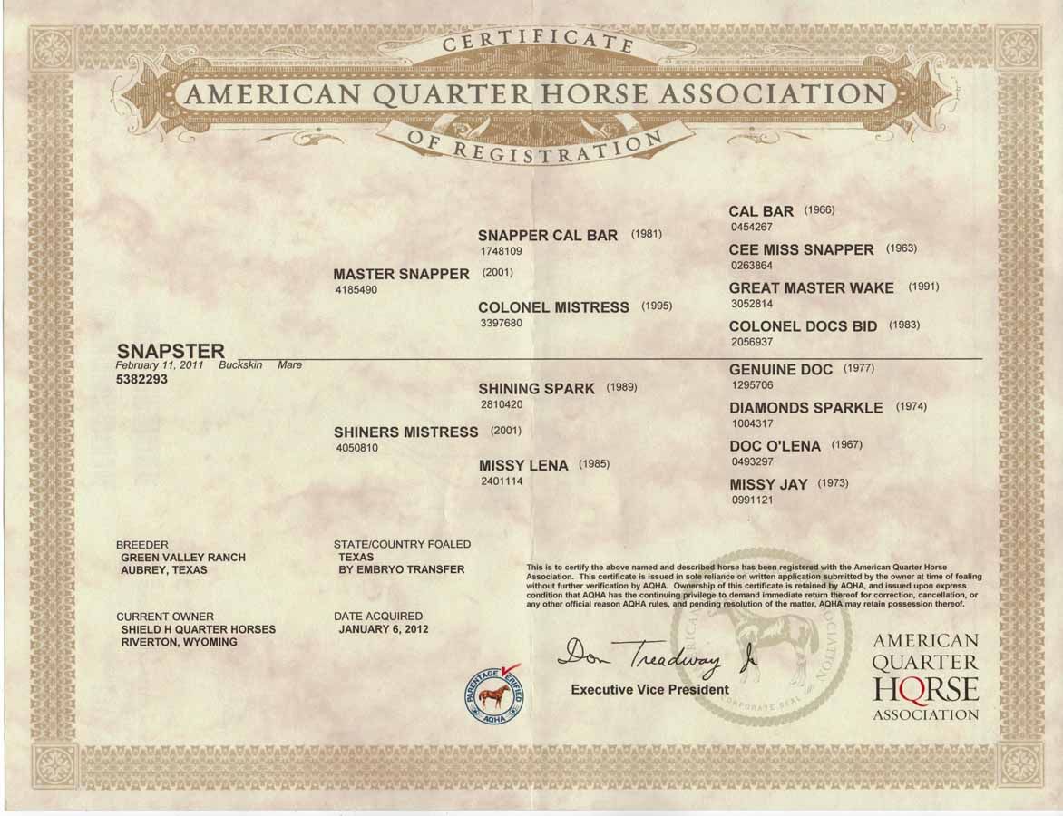 American Quarter Horse Association certificate with beige border and printed registration details