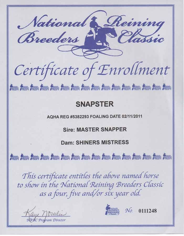 Blue certificate of enrollment for a horse in the National Reining Breeders Classic, for Snapster.