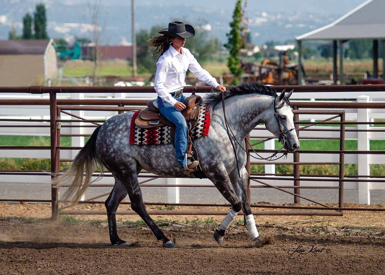 Cowboy in a white shirt rides a gray horse in an outdoor arena, with mountains in the background