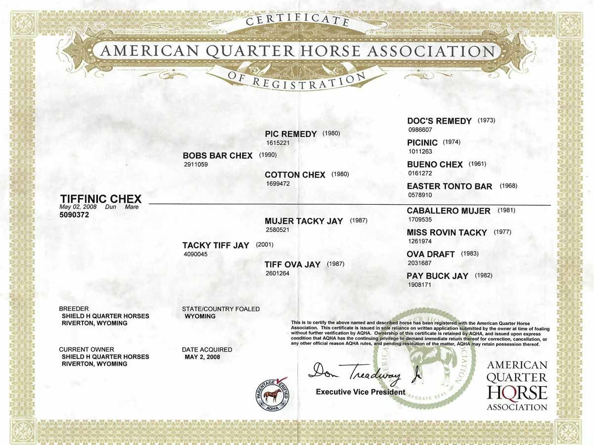 American Quarter Horse Association certificate with green border and horse emblem on white paper
