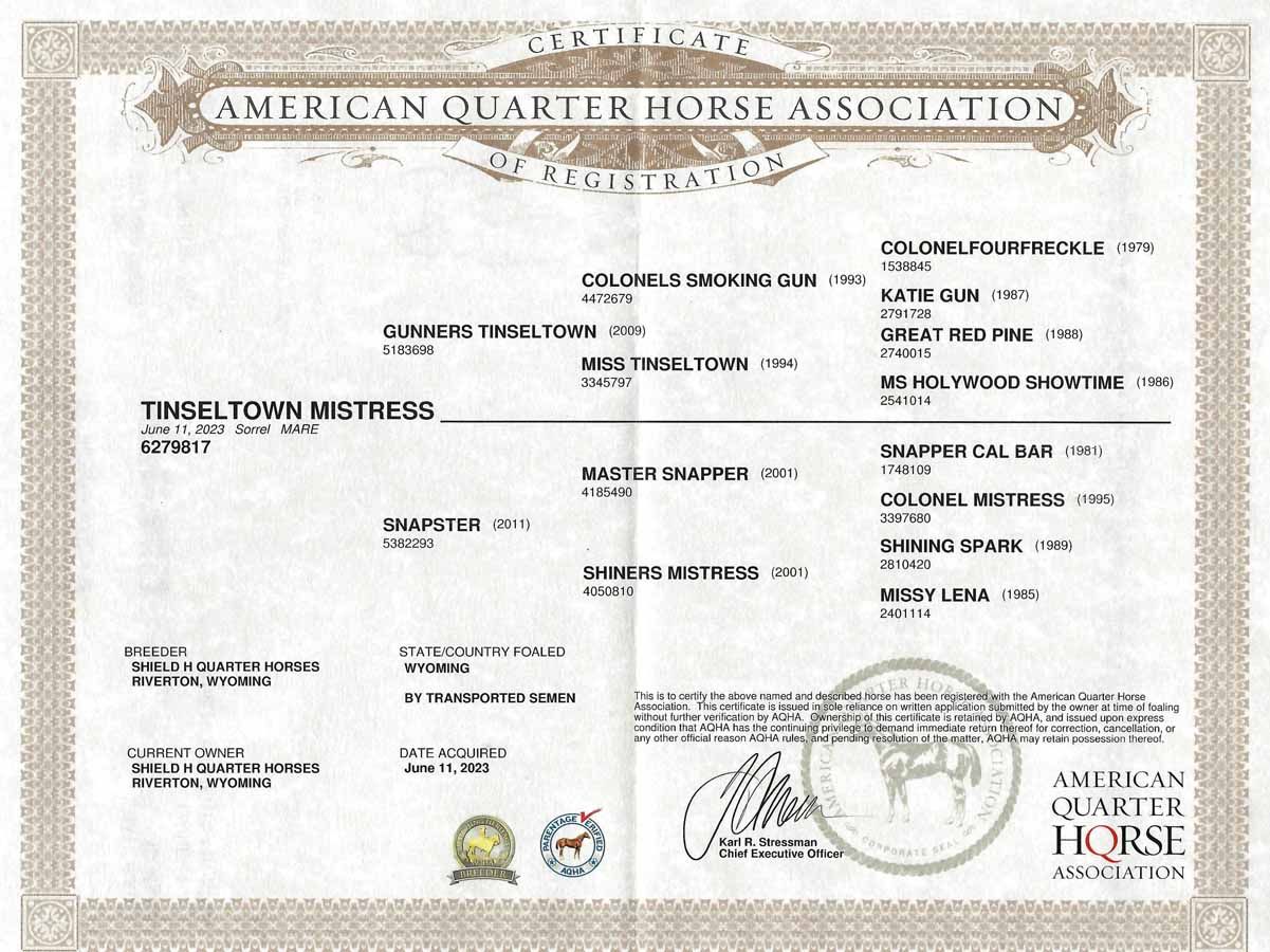 Certificate from the American Quarter Horse Association with black text and seals on a white background