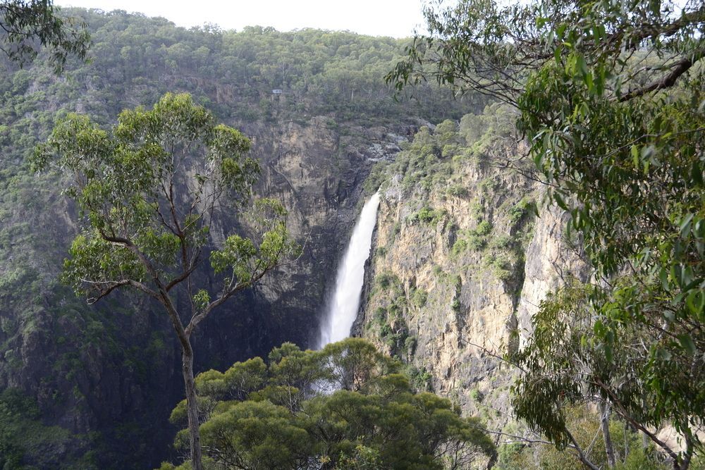 A Waterfall Is Surrounded By Trees And Cliffs In The Middle Of A Forest — Tamworth Muffler Man In Armidale, NSW