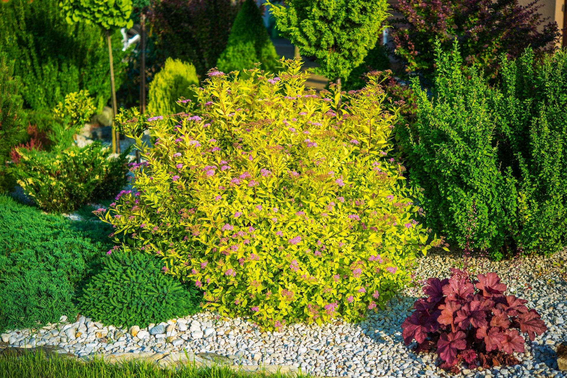 Colorful landscaped garden with green, yellow, and red shrubs and white stones along the edge