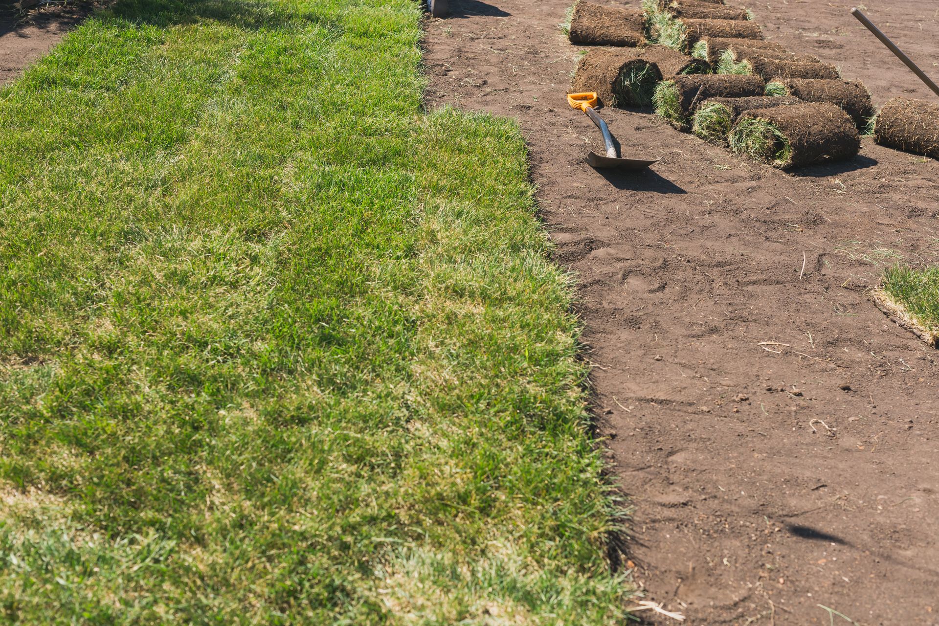 Garden path with green lawn on one side and bare soil on the other, with a small bird near rocks.