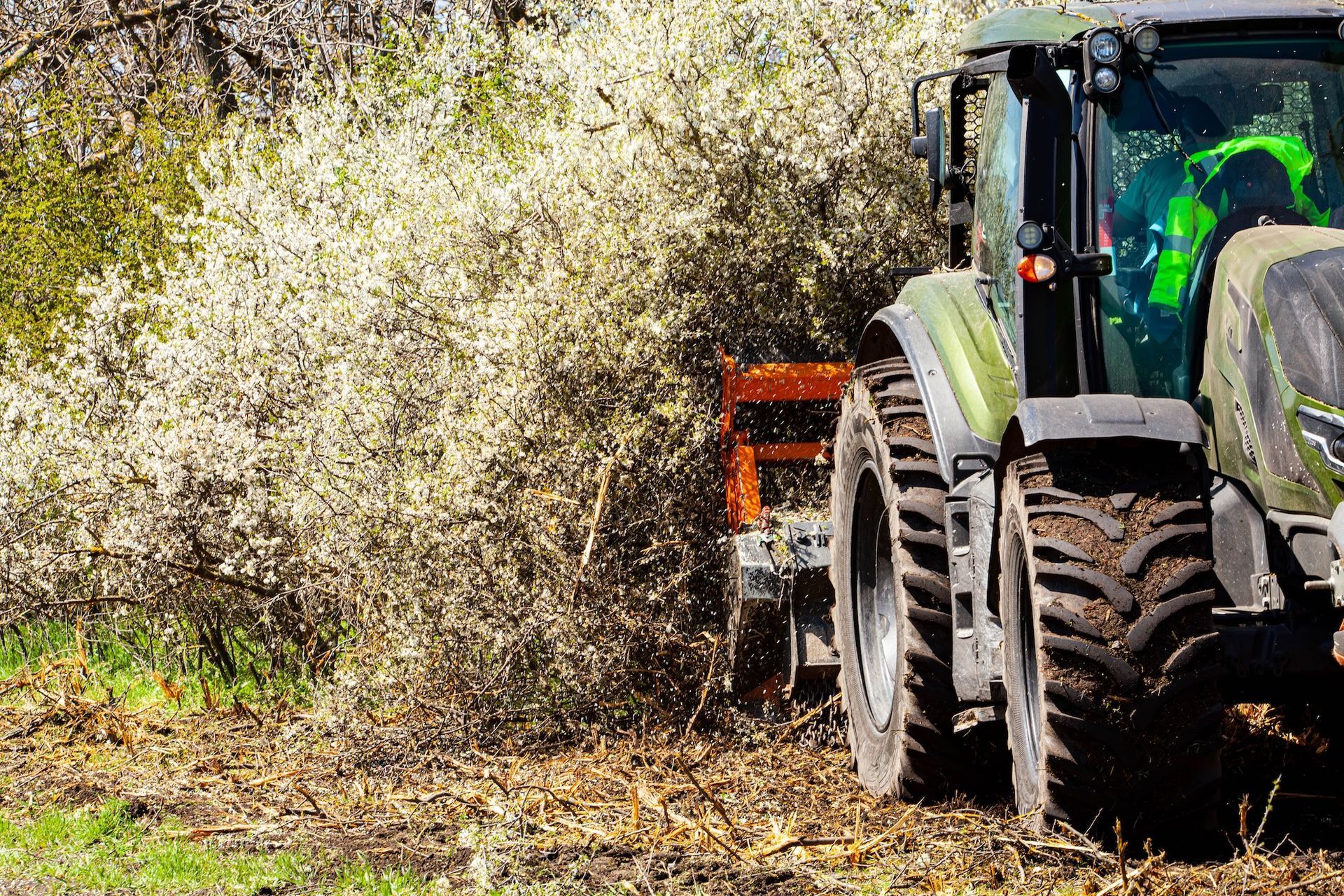 Tractor cutting through dense brush in a field, with debris spraying from the side.