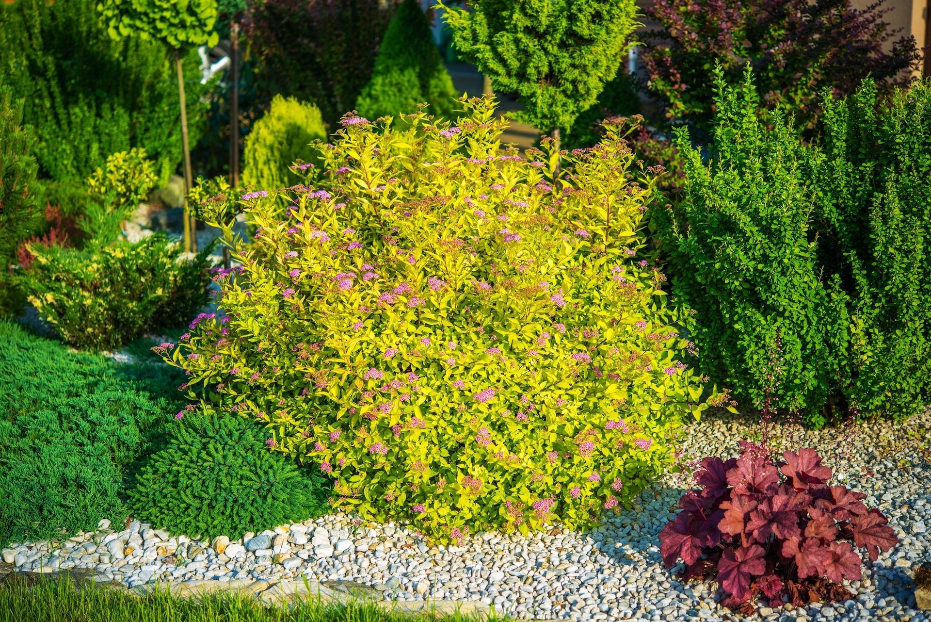 Colorful landscaped garden bed with green, yellow, and red shrubs along a white stone border