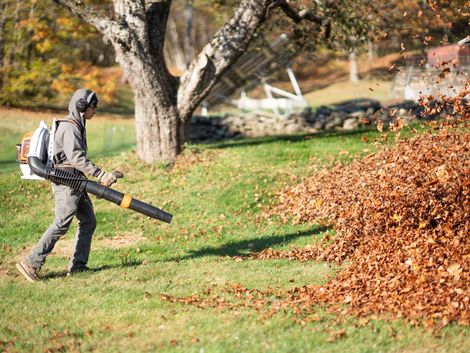 Person using a leaf blower to clear a large pile of autumn leaves in a yard