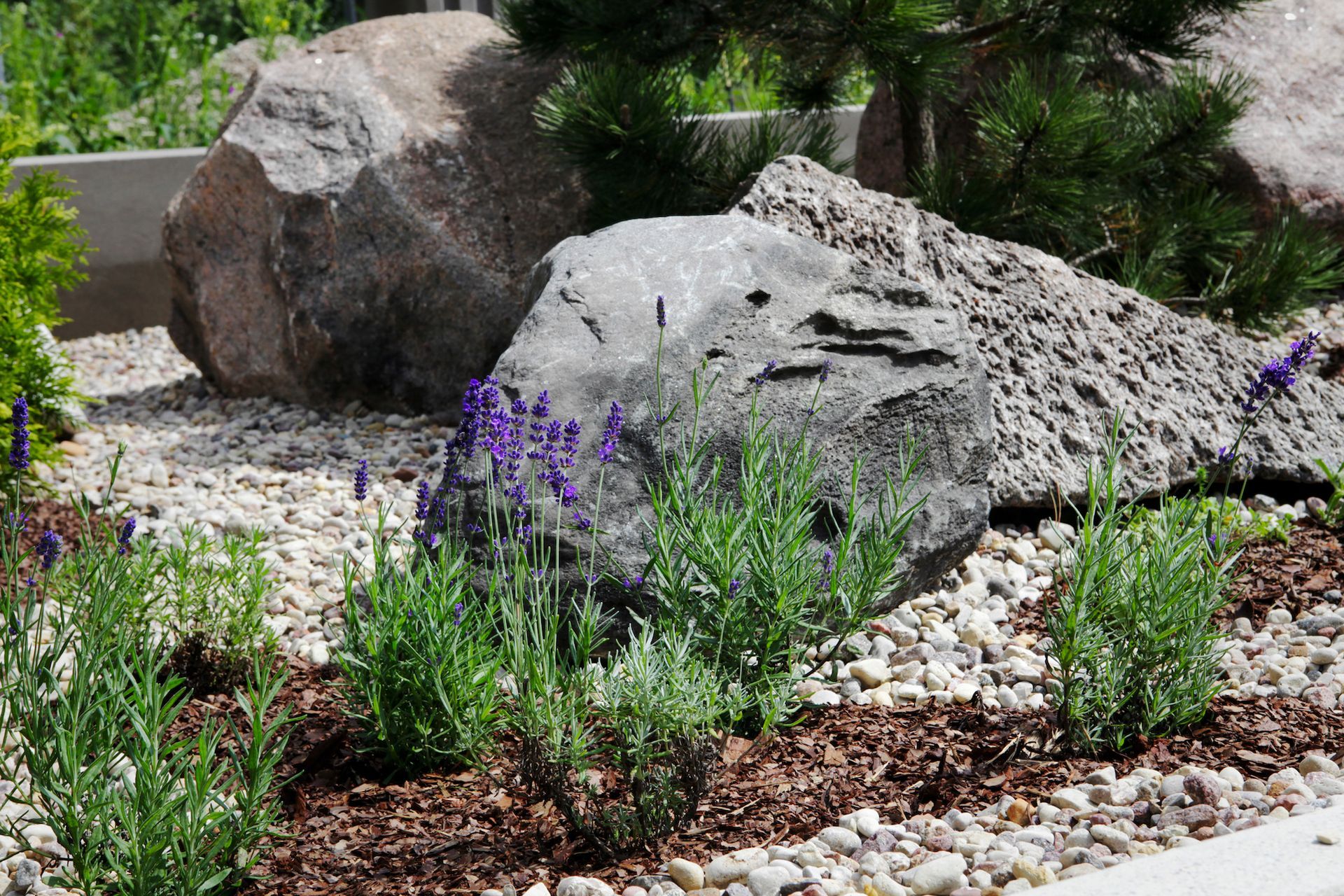 Large gray boulders lining a pebbled shoreline with green shrubs above them