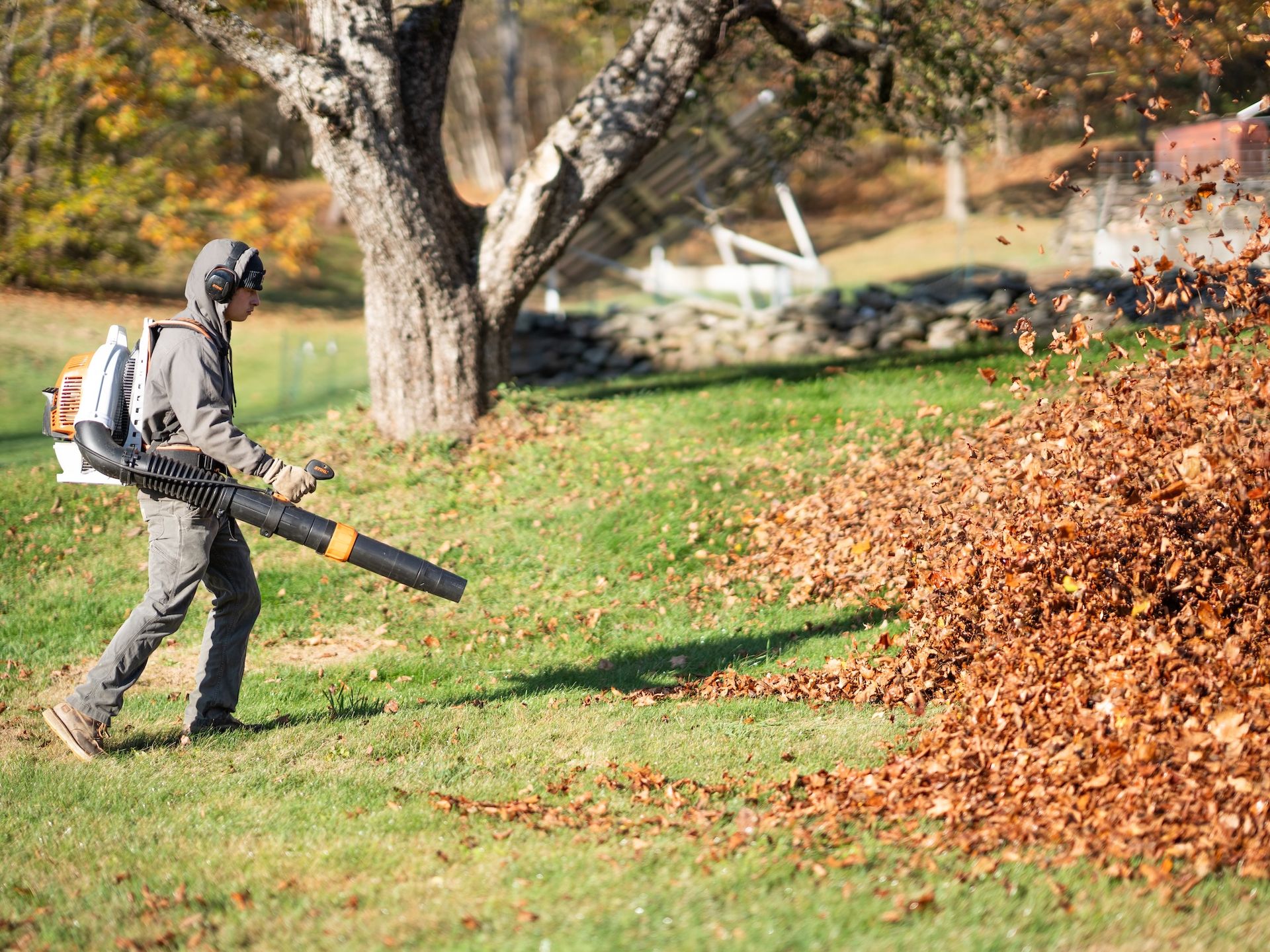 Person using a leaf blower clears autumn leaves from a lawn near a tree and house