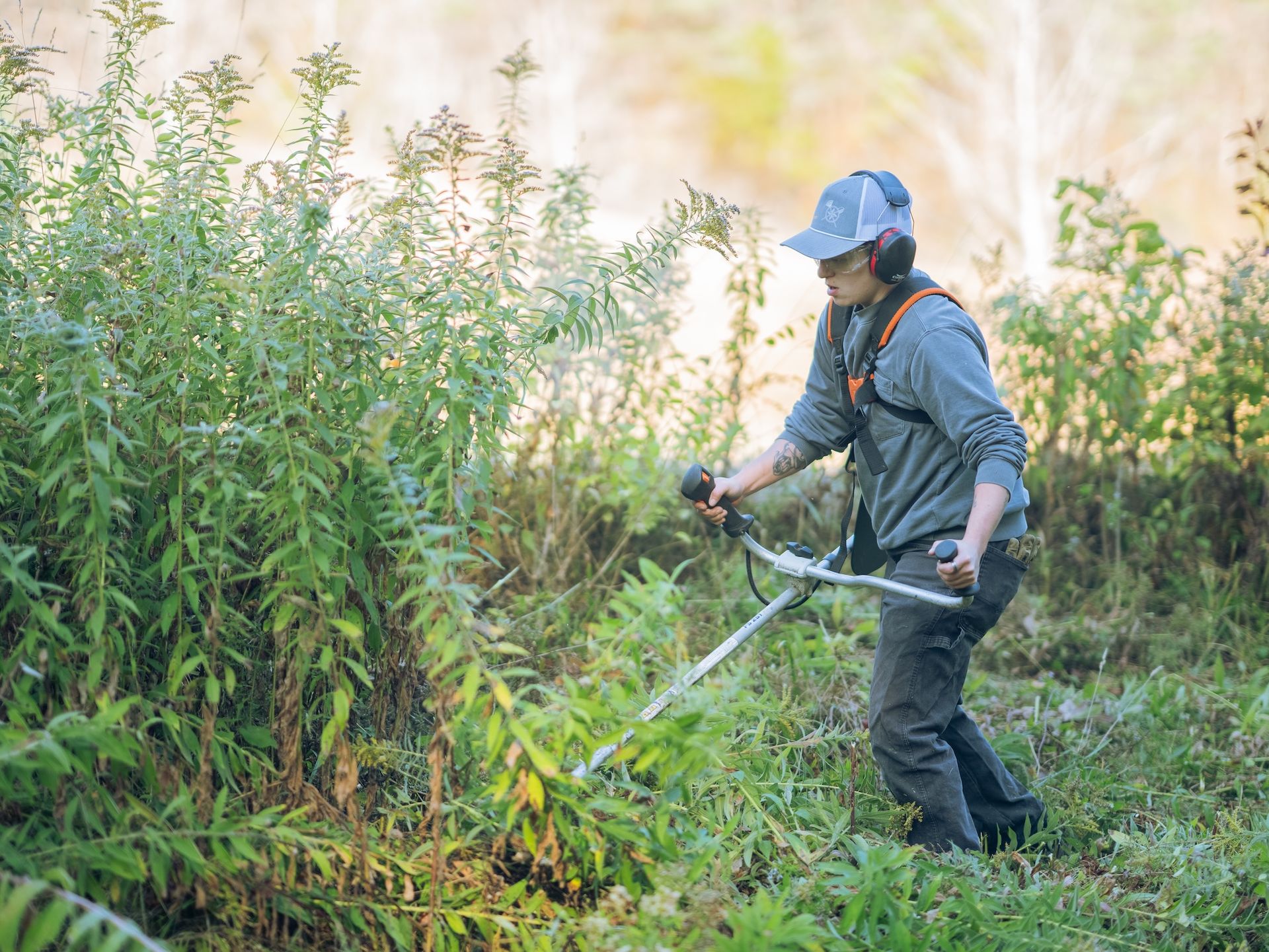 Person using a brush cutter to clear tall weeds in a grassy area outdoors