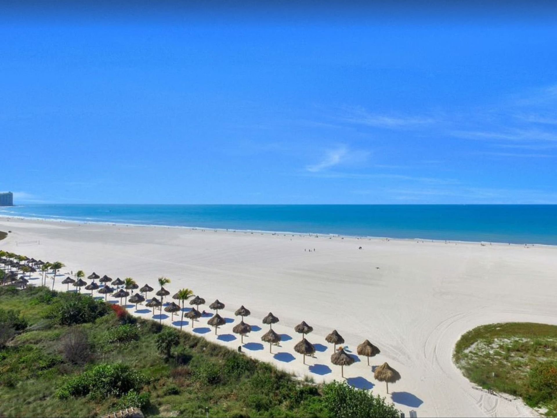 A row of umbrellas are lined up on a beach next to the ocean.