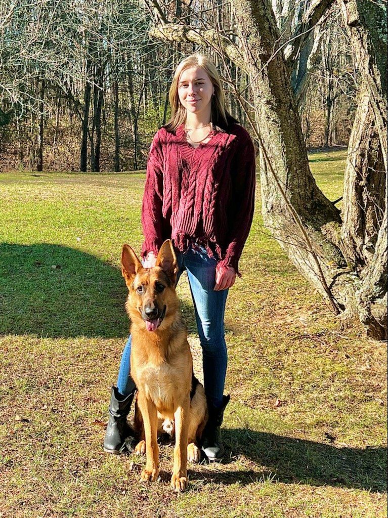 Dog Groomer Grooming