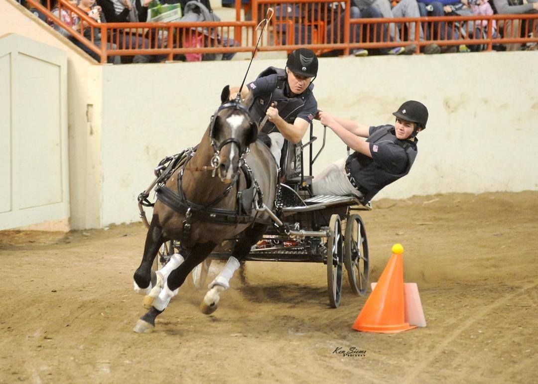 A man in a wheelchair is being pulled by a horse drawn carriage.