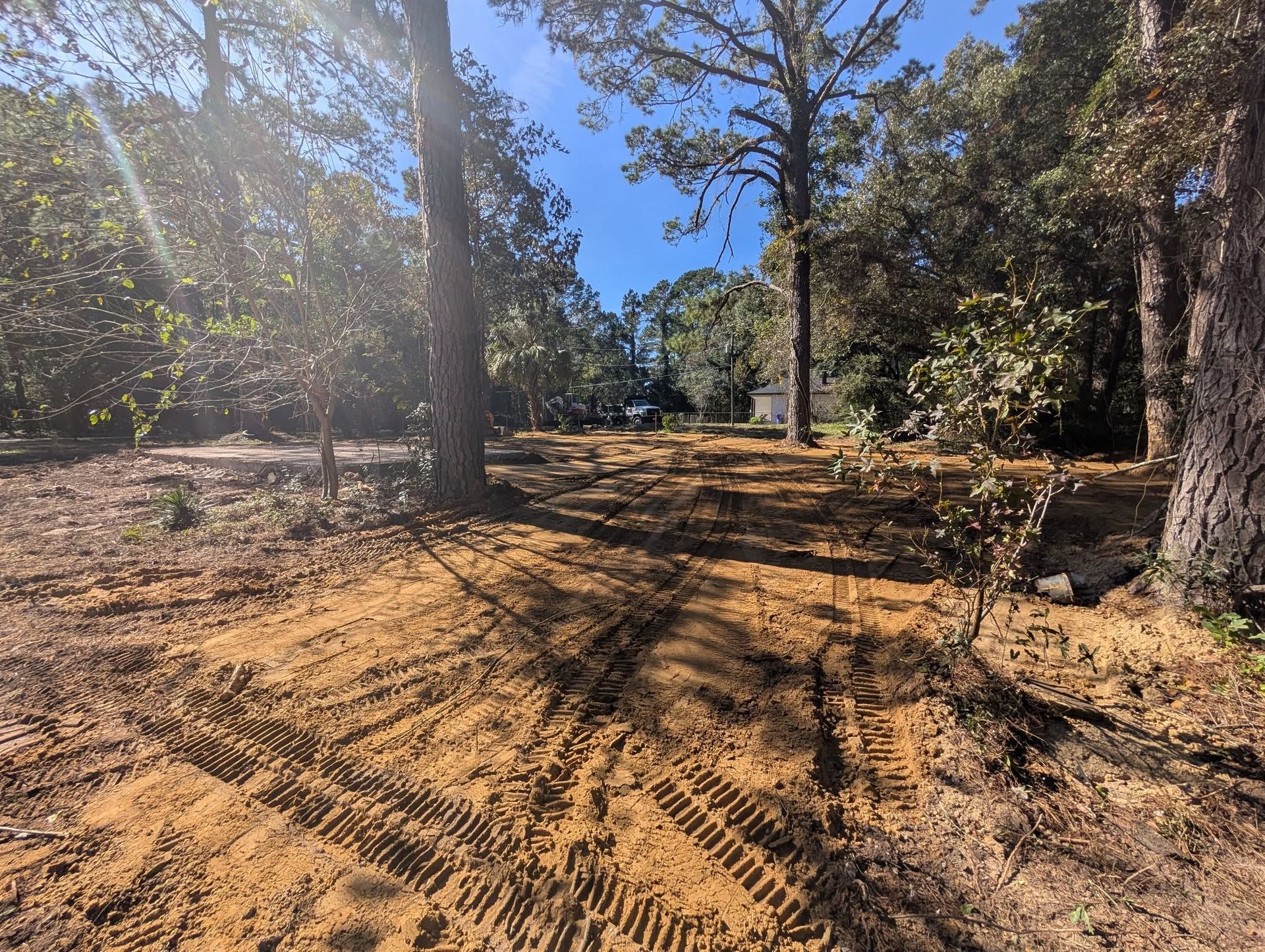 Sunlit dirt clearing in a wooded area with tire tracks and trees casting long shadows