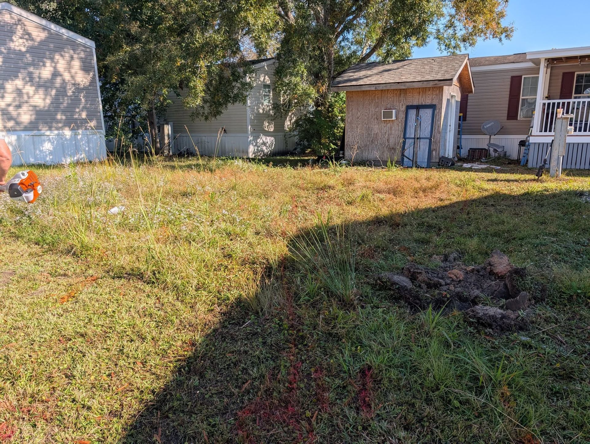 Backyard lawn with sun and shade, a small shed, and part of a house beside a stone wall and tree.