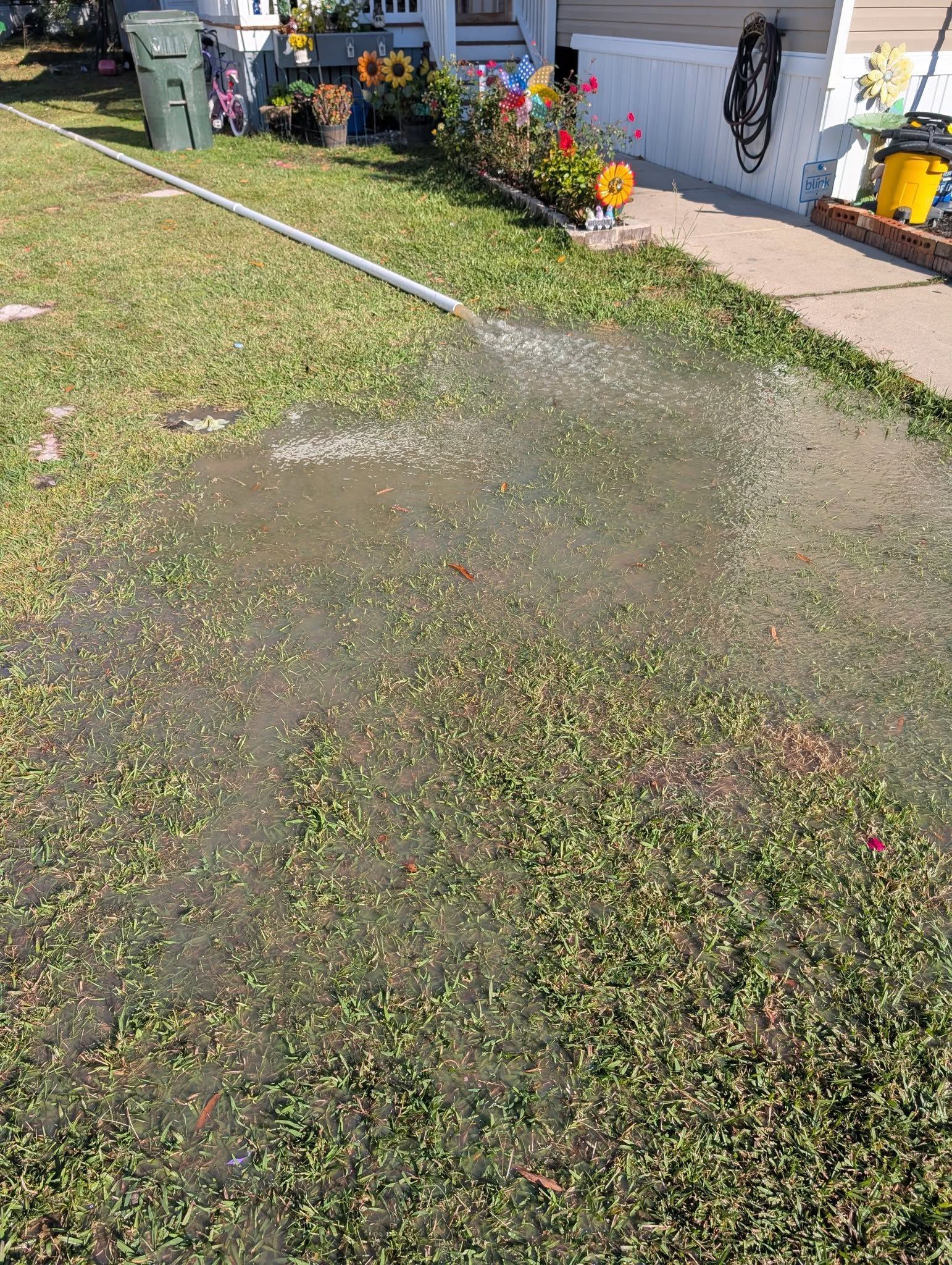 Garden lawn with a wet patch and garden hose near a house and flowerbed